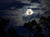 Full Moon Tour 2025 - Children's Tour