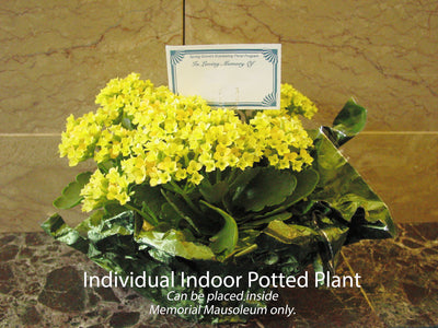 Indoor Individual Bouquet