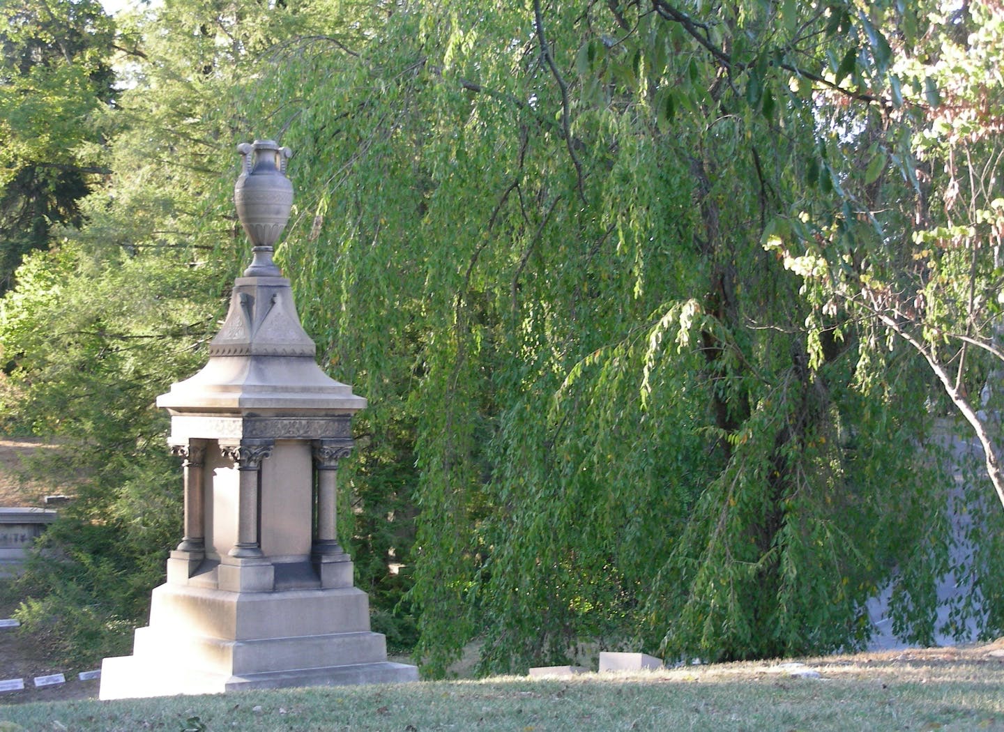 Photography Requests